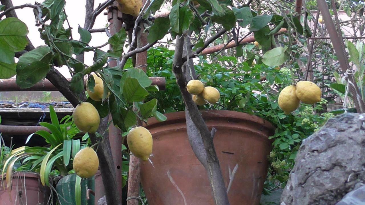 شقة Il Golfo E I Limoni لا سبيتسْيا المظهر الخارجي الصورة